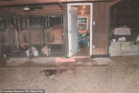 alex murdaugh crime scene photos|Chilling photos reveal bloody crime scene where Maggie and ...